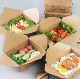 Paper Feeder Driven by SERVO MOTOR Independently