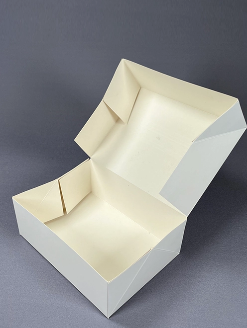 folder gluer machine packaging